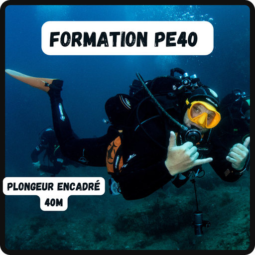 Formation Niveau PE40