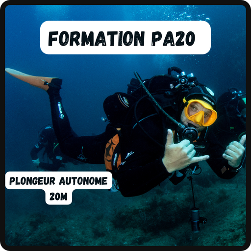 Formation Niveau PA20